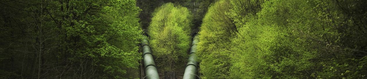 Pipelines