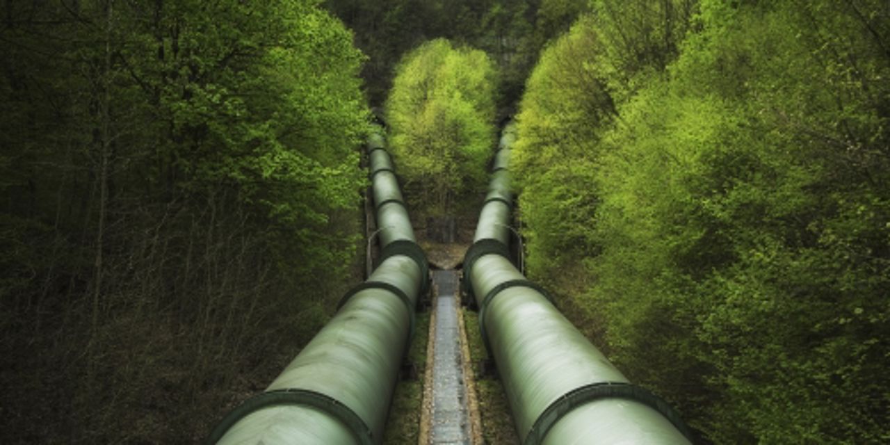 Pipelines in forest