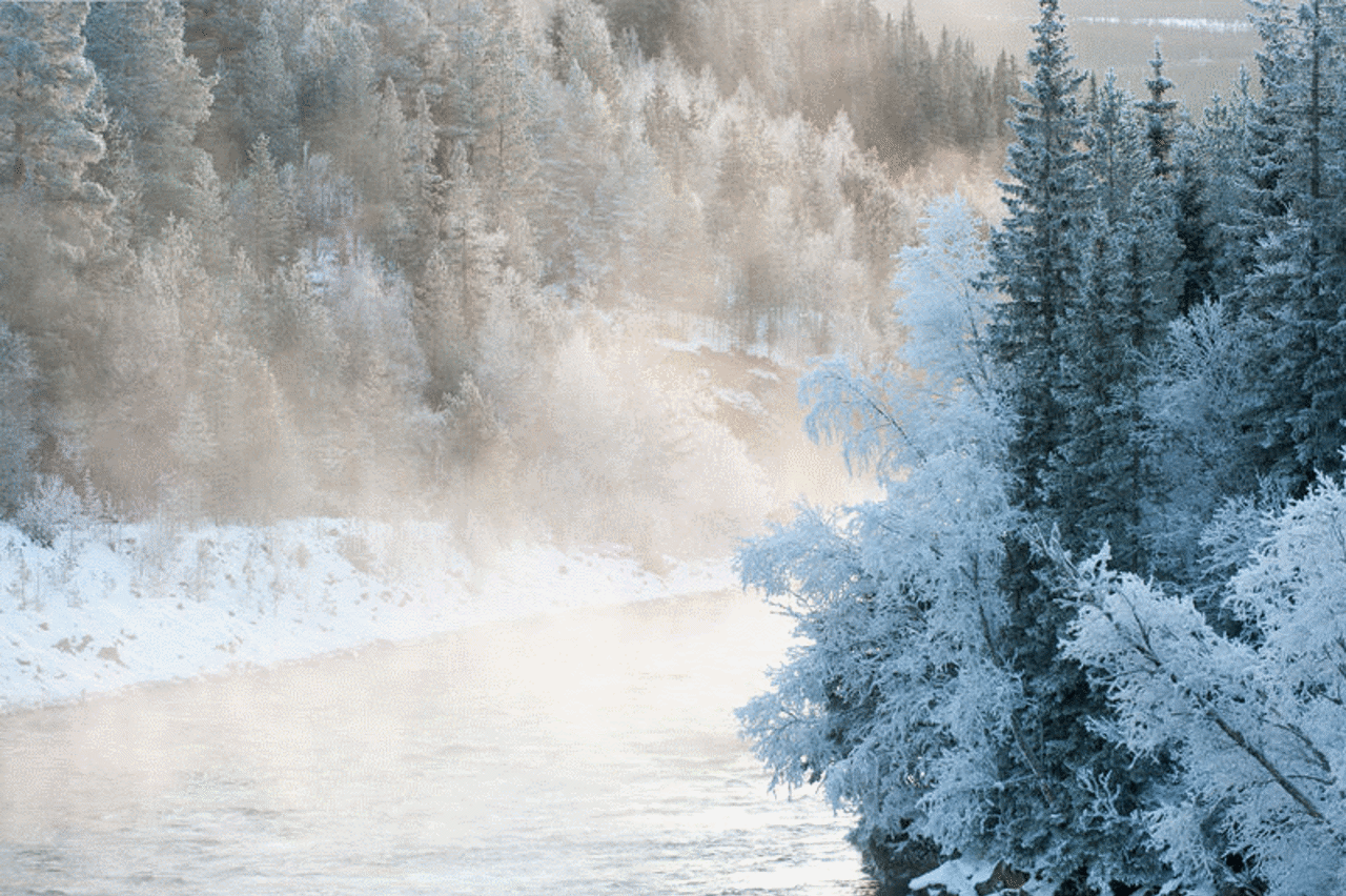 Cold mist over river