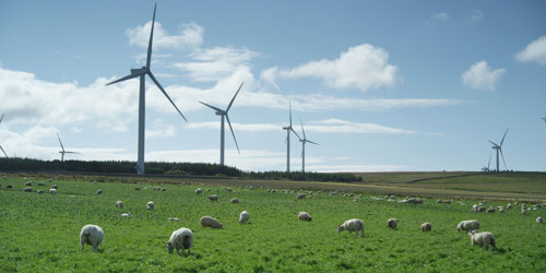 wind farm