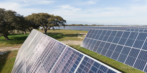 solar panels in a field