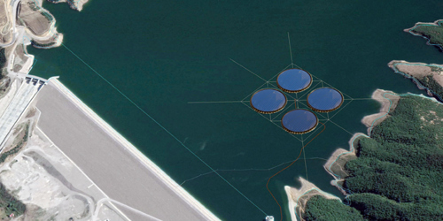 Floating solar plant