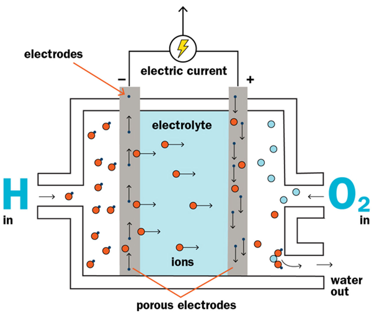 Hydrogen fuel cell